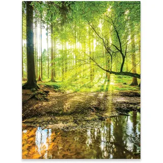WallArena Poster Wald Natur Grün Landschaft 50x70 cm Hochformat - OHNE RAHMEN XXL Wandposter Kunstdruck Fotoposter Wandbild Wandbilder Wand Bild auf Poster Wohnzimmer Schlafzimmer Küche