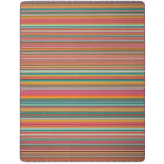 Biederlack Flash Stripe Kuscheldecke 150 x 200 cm Bunt