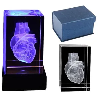 3D Menschliches Herz Anatomisches Modell – Kristall 3D Menschliches Herz mit Koronarterie – Briefbeschwerer (Lasergeätzt) in Kristallglas Würfel Wissenschaft Geschenk (mit LED-Basis)