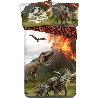 Jerry Fabrics Jurassic World Kinderbettwäsche Lava Weiß 140 x 200 cm + 70 x 90 cm