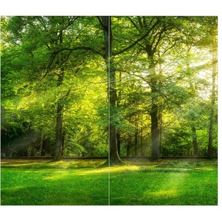 Duschrückwand - Spaziergang im Wald, Material:Alu-Dibond Matt Schutzlackiert 3 mm, Größe HxB:2-teilig à 210x120 cm