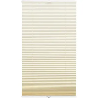 GARDINIA Plissee Concept Tageslicht 60 x 130 cm Beige