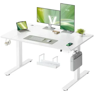 VASAGLE Elektrisch Höhenverstellbarer Schreibtisch, Stehpult mit Typ-C und Kabelmanagement für Home Office, 120 x 80 cm, Weiß - Weiß