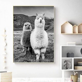 HTWLMM Leinwandbilder Schwarz Weiß Tier Alpaka Poster Wandkunst Gemälde Kunstdruck Für Schlafzimmer Wohnzimmer Wohnung Dekor Kein Rahmen (40X60CM)