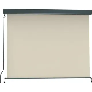 Senkrechtmarkise Balkon 140x250cm Markise mit Kassette Sichtschutz Outdoor Anthrazit Beige paramondo Senkrechtmarkise 2000 - Beige