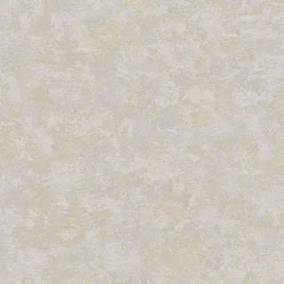 Bricoflor Putz Vliestapete Grau Gold Einfarbige Tapete mit Putzstruktur Schlicht Uni Vlies Wandtapete mit Vinyl für Wohnzimmer und Diele
