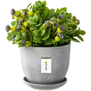 Botle Pflanzkübel 16 Ø x 16 cm Grau Komplettset