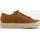 cognac 40