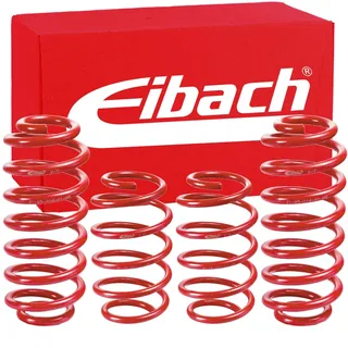 Eibach E20-85-001-02-22 Fahrwerksfeder