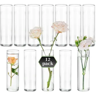 Glasseam Zylinder Vase Glas für Hochzeit: 12er Kleine Vasen Glaszylinder Blumenvasen Set für Tafelaufsätze Tischdeko Home Tisch Deko - Klein Blumenvase Modern Glasvasen für Blumen Rosen