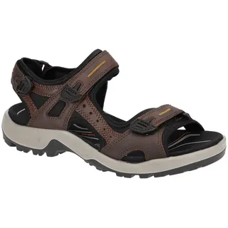 ECCO Offroad Herren espresso/cocoa 43