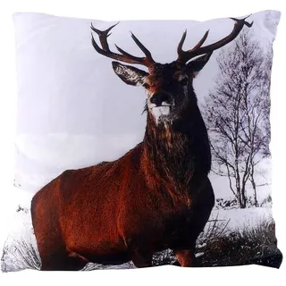 CB Home & Style Kissen Tiere Fotodruck Fotoprint 45 x 45 cm Leopard Tiger Adler Fuchs Eichhörnchen Wolf Pinguine (Hirsch)