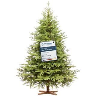 Fairytrees Künstlicher Weihnachtsbaum FT06, Nordmanntanne Exklusiv 100% PE, Nordmanntanne Exklusiv 100% PE grün 180 cm