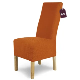 Scheffler Home Stuhlhussen Terracotta 6er Set Elastisch Luna-lang