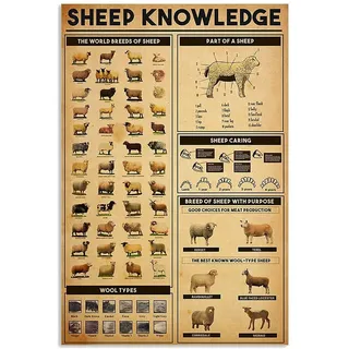 FJQWKLF Metall-Wissensschilder, Schaf-Wissen, die Welt der Schafrassen, Poster, Retro-Stil, Bauernhof, Zuhause, Küche, Restaurant, Club, Zuhause, Wanddekoration, 30,5 x 40,6 cm