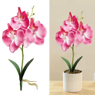Sbyhbhyds 3 Köpfe Künstlicher Phalaenopsis Zweig Blumen 1 Stück,Orchidee Blumen Blätter Kunstblumen,Dekorative Orchideen Bonsai Kunstpflanze Arrangement,Seide Pflanzen für Tisch Wohnzimmer Wohnkultur