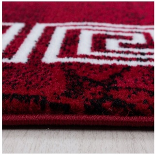 Teppich Teppich PLUS RED 200 X 290cm Rechteck, SchönesWohnen24 rot 200 cm x 290 cmSchönesWohnen24