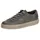 gray 38