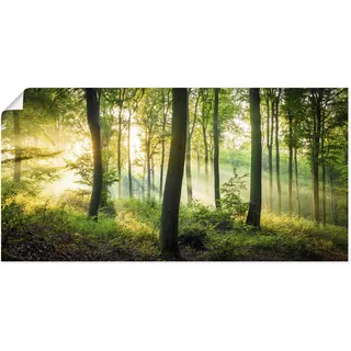 Wandbild ARTLAND "Herbst im Wald II" Bilder Gr. B/H: 150 cm x 75 cm, Poster Waldbilder Querformat, 1 St., grün Kunstdrucke