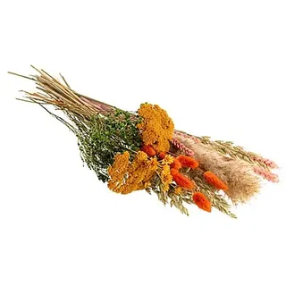 Trockenblumen-Sortiment "Herbst Look", orange-grün-natur