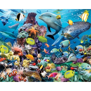 Meecaa Malen nach Zahlen Meeresleben Fisch Delfin Seestern Korallen Kit für Erwachsene Anfänger DIY Ölgemälde 40,6 x 50,8 cm (Delphin, gerahmt)