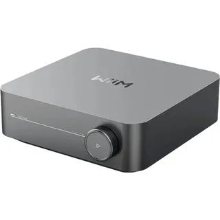 WiiM Amp Multiroom-Streaming-Verstärker mit Sprachsteuerung grau