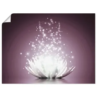 Wandbild ARTLAND "Magie der Lotus-Blume", lila (farbe bild(er): lila), B:80cm H:60cm, Bilder, als Leinwandbild, Poster in verschied. Größen