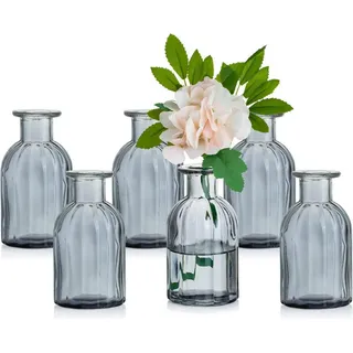 LuxusKollektion Gläser-Set Kleine Vasen Set Glasvase Mini Blumenvase Vintage Vase Rund