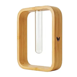 YGDRA Glasvase mit Bambusrahmen – Moderne Propagationsstation für Pflanzen & Hydroponik, Minimalistische Vase aus Bambus & Glas, als Deko Wohnaccessoire & stilvolle Geschenkidee (Rechteckig)