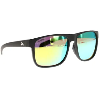 Alpina Nacan III Sonnenbrille-Schwarz-One size