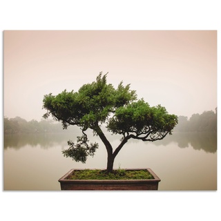Wandbild ARTLAND "Chinesischer Bonsaibaum" Bilder Gr. B/H: 120 cm x 90 cm, Leinwandbild Bäume Querformat, 1 St., grün Kunstdrucke