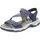blau 41