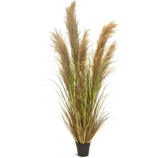 Cortaderia - Pampasgras Kunstpflanze, Höhe 150 cm