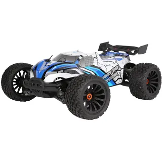 Drive & Fly Models RC-Auto Z-10 Competition Truggy BR 1:10XL brushed RTR