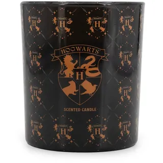 harry pottertm Hogwarts Duftkerze 135 g schwarz