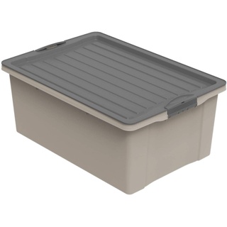 Rotho Compact Aufbewahrungsbox 38l mit Deckel, Kunststoff (PP recycelt) BPA-frei, cappuccino/anthrazit, A3/38l (57.0 x 40.0 x 25.0 cm)