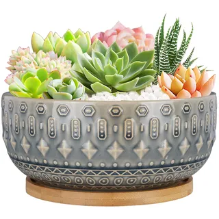 Fivepot 8 Zoll Keramik Sukkulenten Pflanztopf Töpfe mit Drainageloch Blumentopf für Zimmerpflanzen Rund Flach Bonsai Topf mit Bambustablett Blau