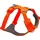Blaze Orange S