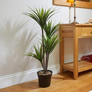 Garden Mile Künstliche realistische Zimmerpflanzen, Heimdekoration, dekorative Topfpflanze für den Innenbereich, pflegeleicht, nicht welken, Haus Wintergarten (Drachenbaum)