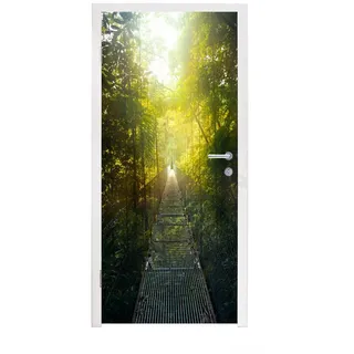 MuchoWow Türtapete Brücke - Tropischer Regenwald - Grün, Matt, bedruckt, (1 St), Türfolie Selbstklebend, Türtapete, Türdeko Poster, 95x235 cm 95 m x 235 m