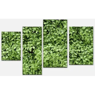 wandmotiv24 Mehrteilige Bilder Grüne Blätter Wand, Blumen und Pflanzen (Set, 4 St), Wandbild, Wanddeko, Leinwandbilder in versch. Größen grün 180 cm x 115 cm x 1.8 cm