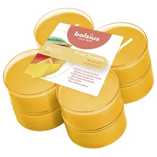 Bolsius Duftteelichter Maxi True Scents 8 St. orange