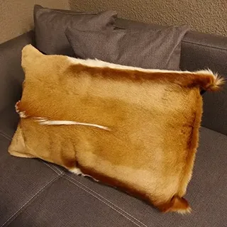 Generisch 1 Stück Springbock Fellkissen 60 x 40 cm Fell Afrika Antilope Tierfell Sofa Kissen incl. Füllkissen