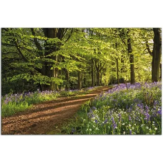 Wallario Outdoor-Poster für Garten oder Balkon Blaues Hasenglöckchen im Sommerwald, Motivbanner Größe: ca. 60 x 90 cm, Outdoor-Bild