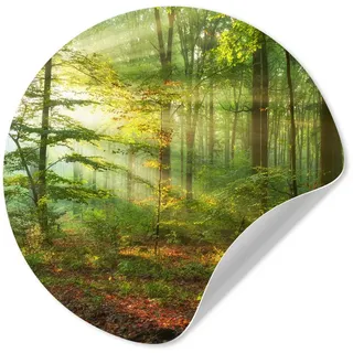 MuchoWow Wandsticker Sonne - Wald - Bäume - Natur - Herbst (1 St), Wanddeko Wohnzimmer Schlafzimmer Wandverkleidung, 50x50 cm bunt 50 cm x 50 cm x 0.1 cm