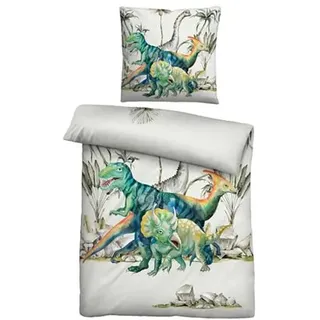 biberna® Bettwäsche Dinos Baumwoll Linon Einzelbett, 2tlg.