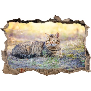Pixxprint 3D_WD_S2217_62x42 beobachtende Katze auf der Wiese Wanddurchbruch 3D Wandtattoo, Vinyl, bunt, 62 x 42 x 0,02 cm