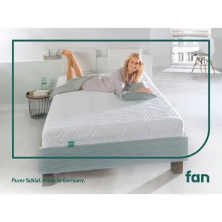 fan 7-Zonen Kaltschaum 140 x 200 cm H3