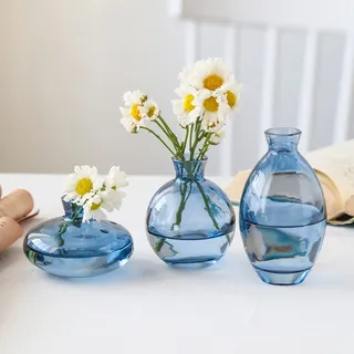 Hniuyun Glasvase, kleine Mini-Blumenvasen, transparente Hydrokulturvase, minimalistische, ästhetische Heimdekoration, 3-teiliges Set (blau)