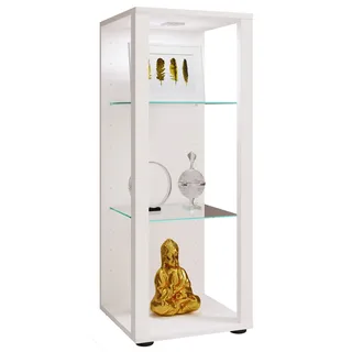 VCM Holz Glas Stand Vitrine Sammelvitrine Glasol M